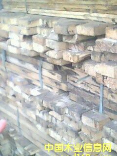 �c���鿴�ò��Ŵ�DƬ