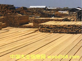 ���l��Ԕ��(x��)��B