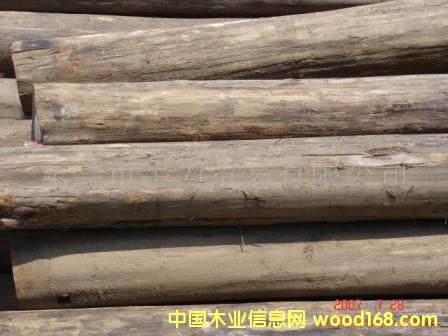 ��ľԭľ.��ľ���.��ľ�ذ����ϵ�Ԕ��(x��)��B