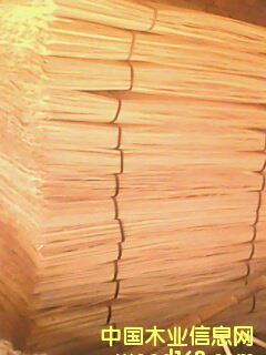 ��ľ��Ƥ��Ԕ��(x��)��B