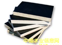 ��Ĥ�� ��Ĥ��Ԕ��(x��)��B