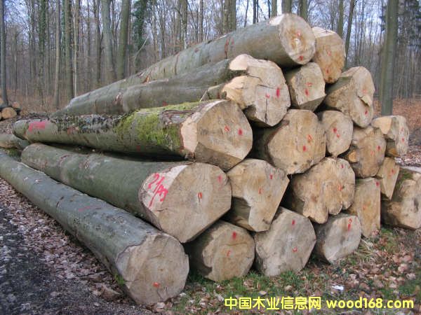 ԭľ��Ԕ��(x��)��B