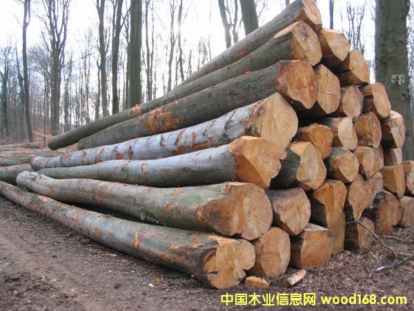 ԭľ��Ԕ��(x��)��B