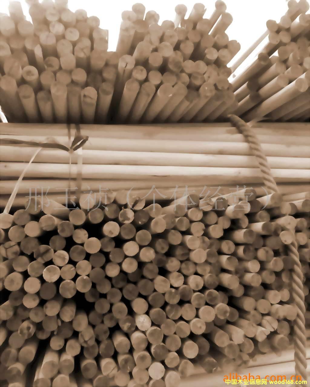 �c(di��n)���鿴��ľľ��ľ���Ŵ�DƬ