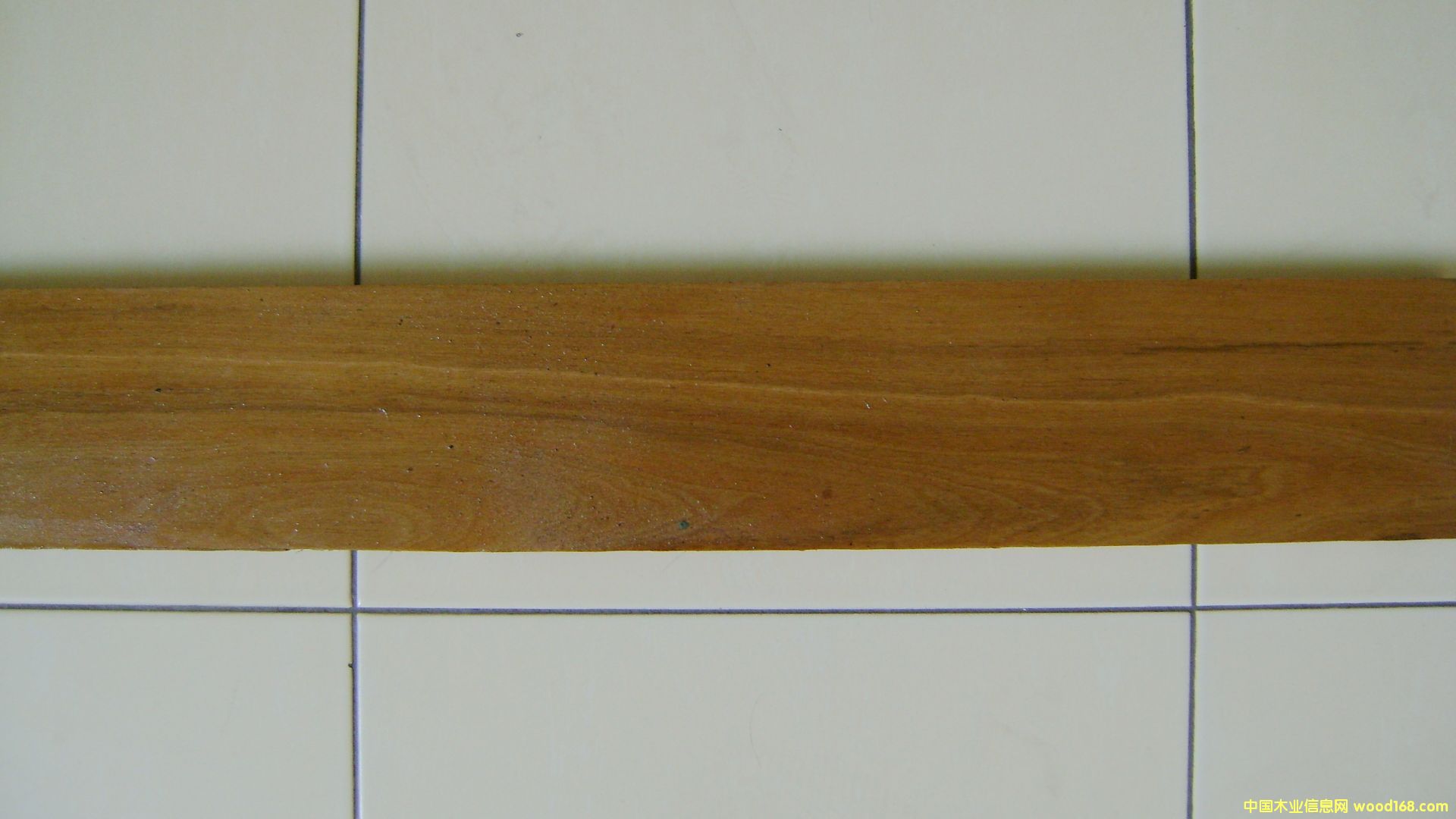 ��ρľ��Ԕ��(x��)��B