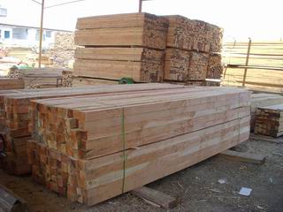 ������ľ��