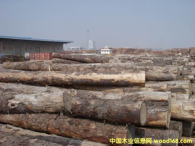 ����(gu��)��ɼ