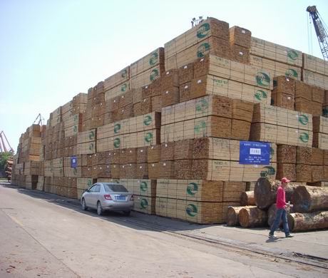 ����ľ��