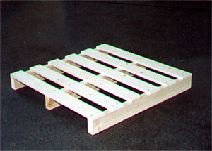 ľ�бP(p��n)(A��)