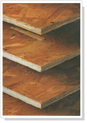 �c(di��n)���鿴���b��osp�Ŵ�DƬ