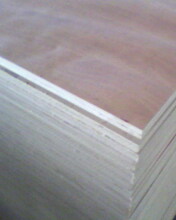 2.0cm�z�ϰ��Ԕ��(x��)��B