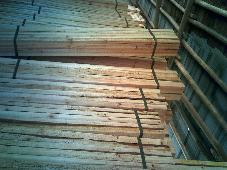 �c���鿴ɼľ�l�Ŵ�DƬ