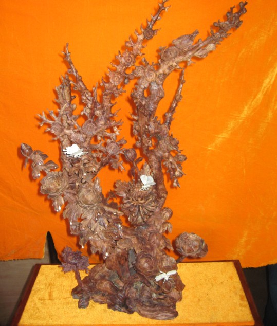 �c(di��n)���鿴ľ��ˇƷ �ļ����Ŵ�DƬ