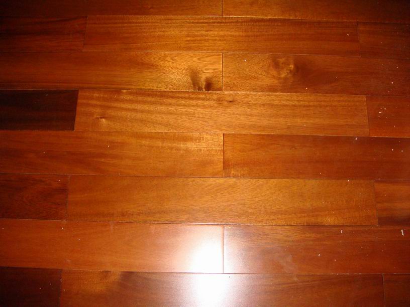 �w�����,���_�غ�(sh��)ľ�ذ��Ԕ��(x��)��B