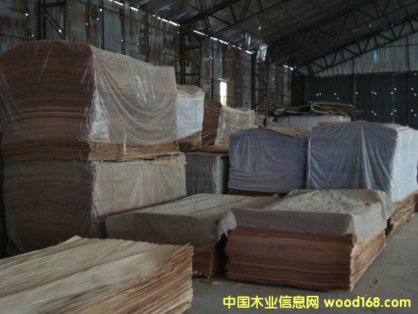 �һ�оľƤ�α���Ԕ��(x��)��B