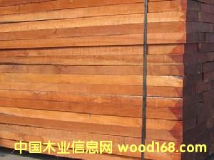 �c(di��n)���鿴�t��ľ�Ŵ�DƬ