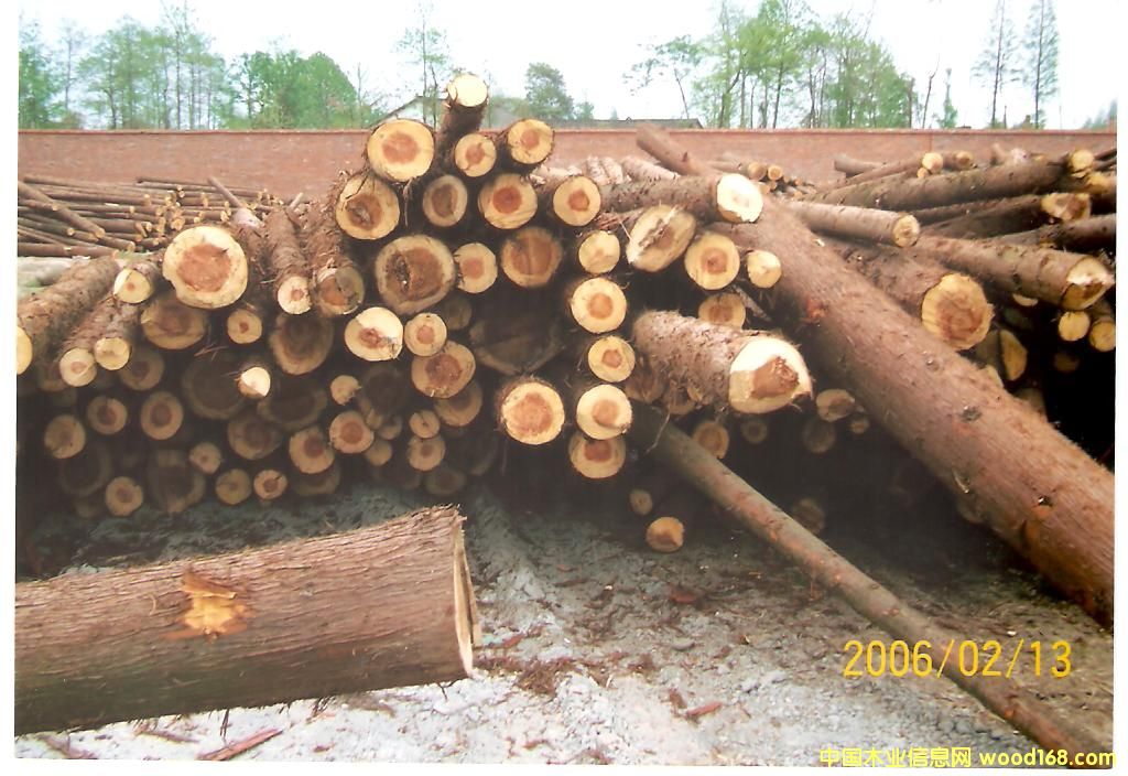 ԭľ��Ԕ����B