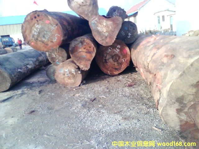 �c���鿴�sľԭľ�Ŵ�DƬ