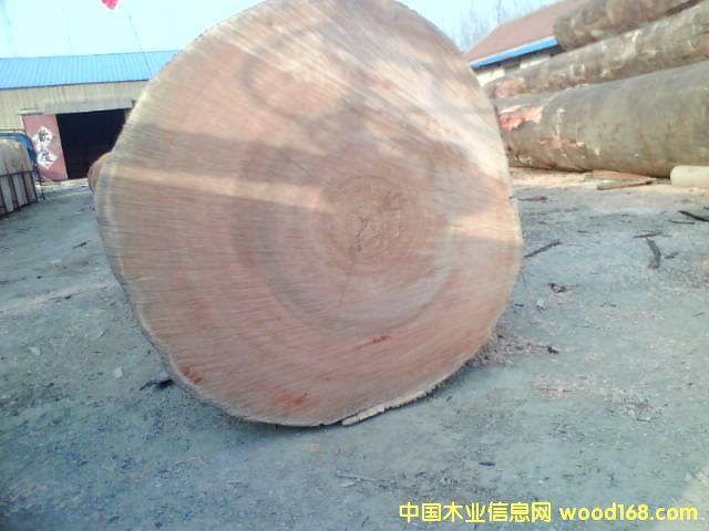 �c���鿴�t���ҷŴ�DƬ