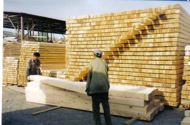 ����ľ����������ľë�ϵ�Ԕ��(x��)��B