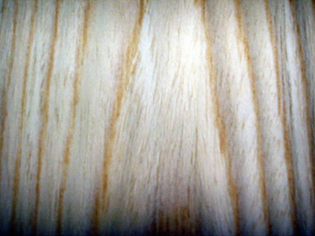 �c���鿴ľƤ�Ŵ�DƬ