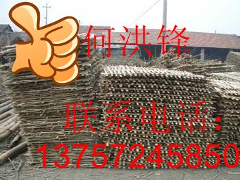 �c(di��n)���鿴��Ƭ��ʰ�Ŵ�DƬ