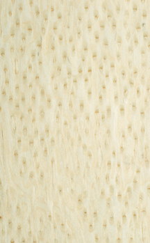 �c(di��n)���鿴�Ƽ�����ľƤ�Ŵ�DƬ