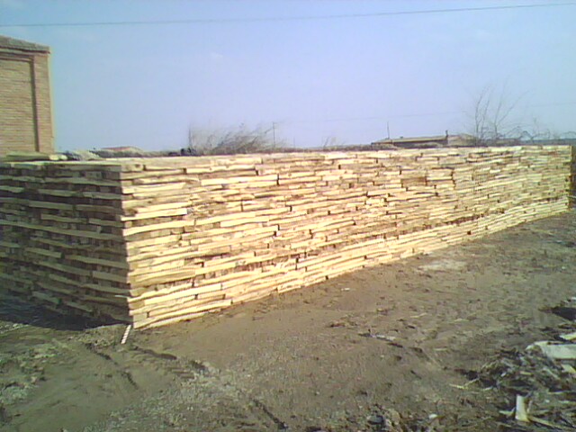 �c���鿴��ľľ���Ŵ�DƬ