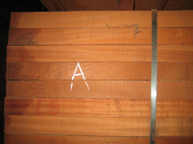 �c���鿴����ɳ�����Ŵ�DƬ