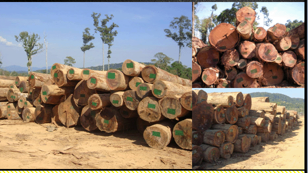 �B����̴���ϓ뻨֦��