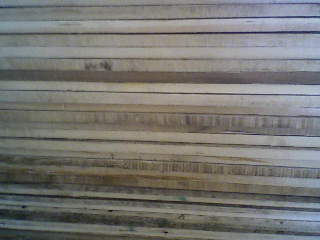 �c���鿴�����ɰ�ķŴ�DƬ