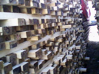 �c���鿴������ľ�Ŵ�DƬ