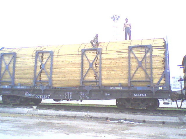 �c���鿴��ľ�Ŵ�DƬ