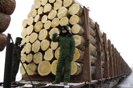 �c���鿴������ԭľ�Ŵ�DƬ