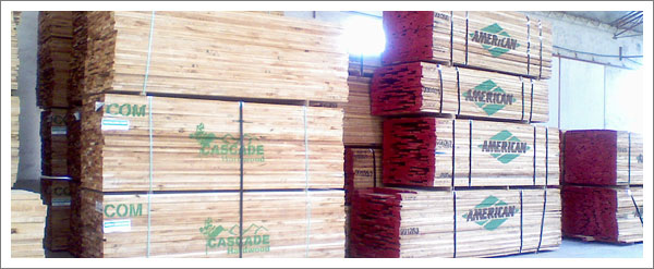 �c���鿴����ľ��ķŴ�DƬ