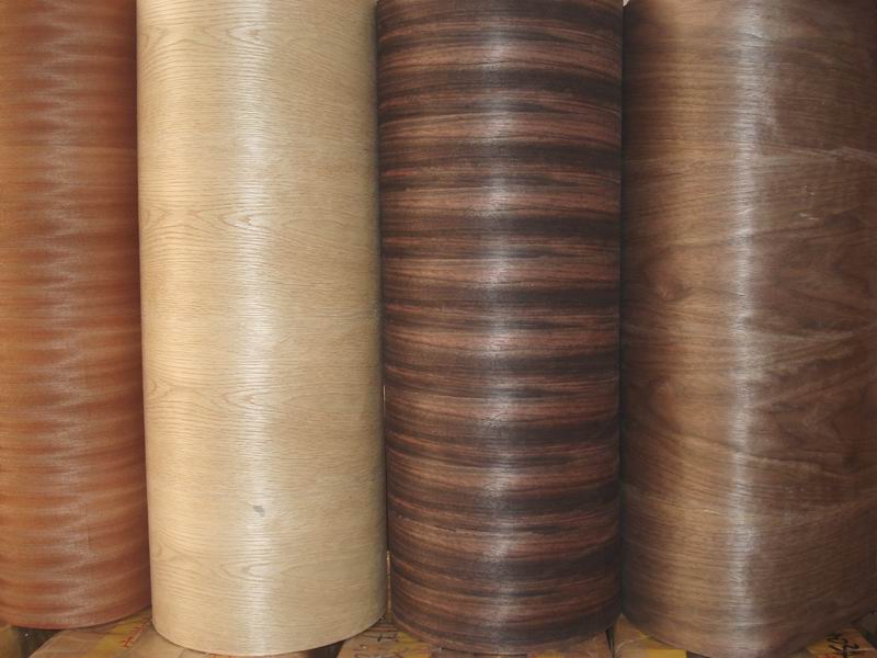 ţƤ��ľƤ��Ԕ��(x��)��B