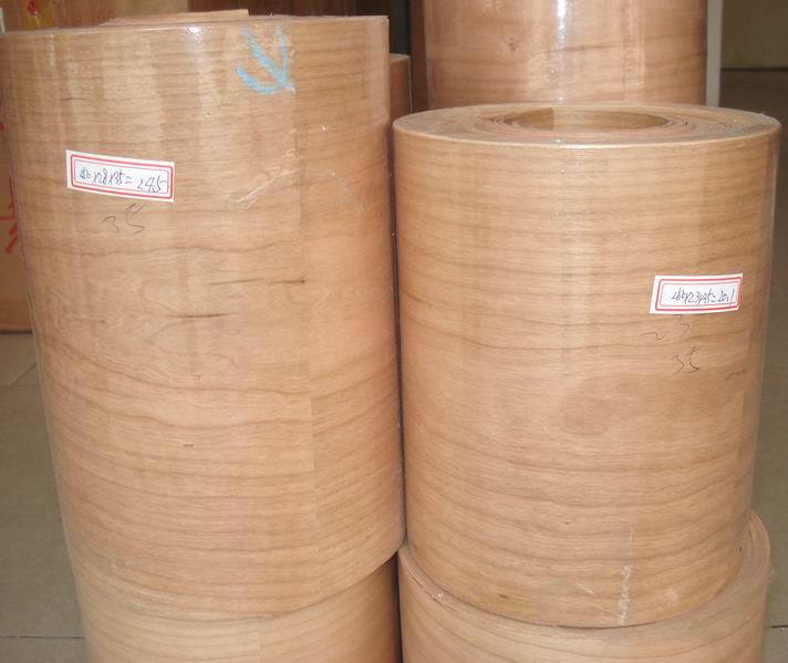 ����ľƤ��Ԕ��(x��)��B