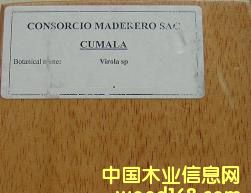 ����ޢľ CUMALA