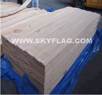 ������N0.6����ɽ�y�Ҿ��ϴ�˦�u    �{(l��n)�����