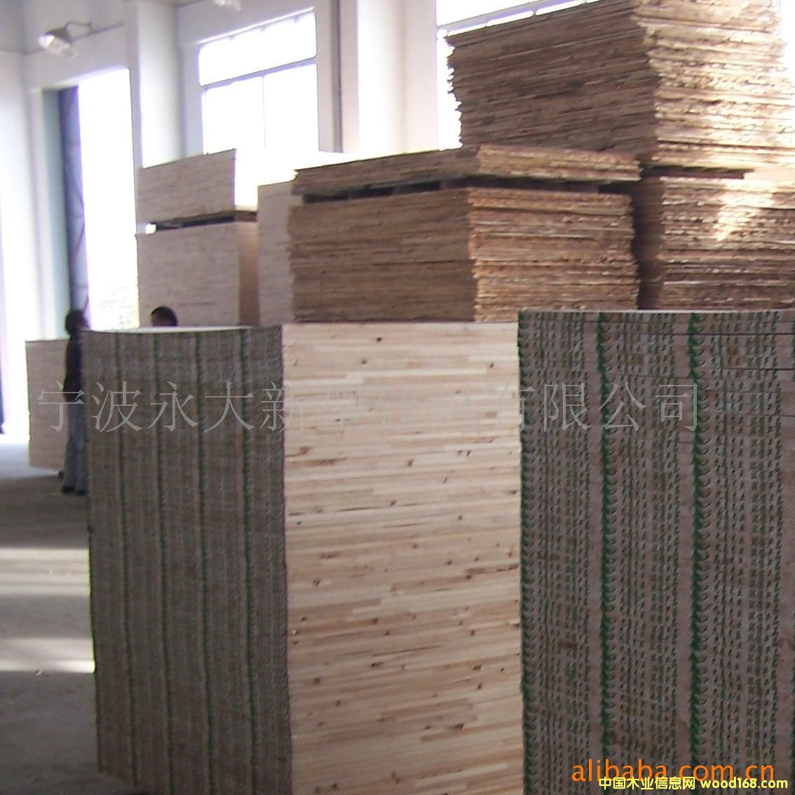 ��(x��)ľ���壨��ɭƷ�ƣ���Ԕ��(x��)��B