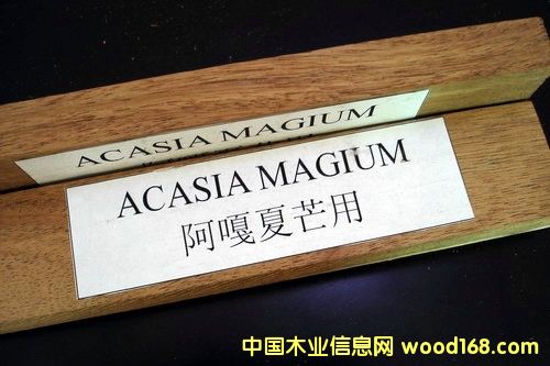 ľ�ذ��������ذ����