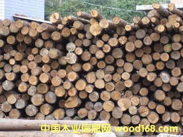 ɼľ��Ԕ����B