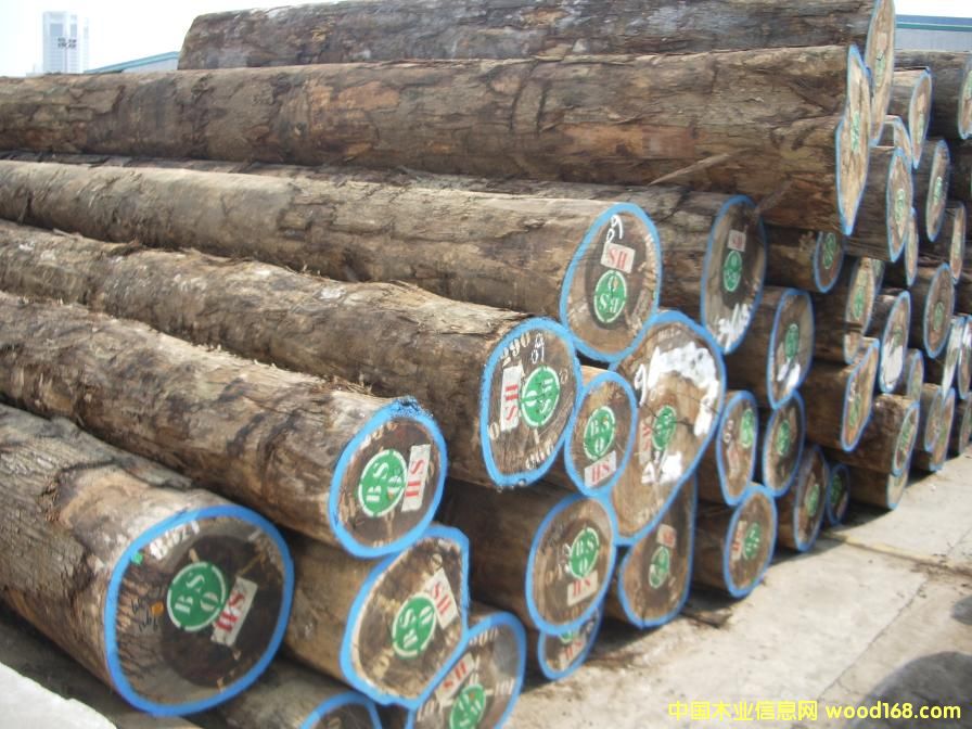 ���޼t����