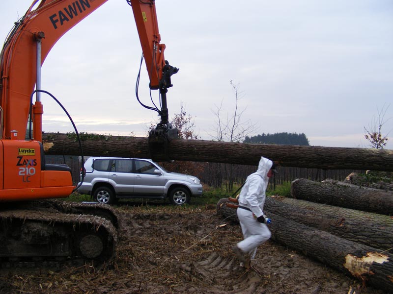 �ڗ�����ԭľ��Ԕ����B