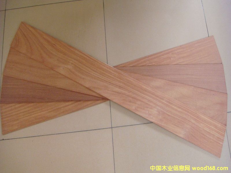 �t̴��ΰ��Ԕ��(x��)��B