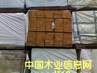 �c���鿴�����ɼ��ķŴ�DƬ