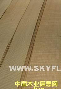 ���������tӰľƤ����Ԕ����B