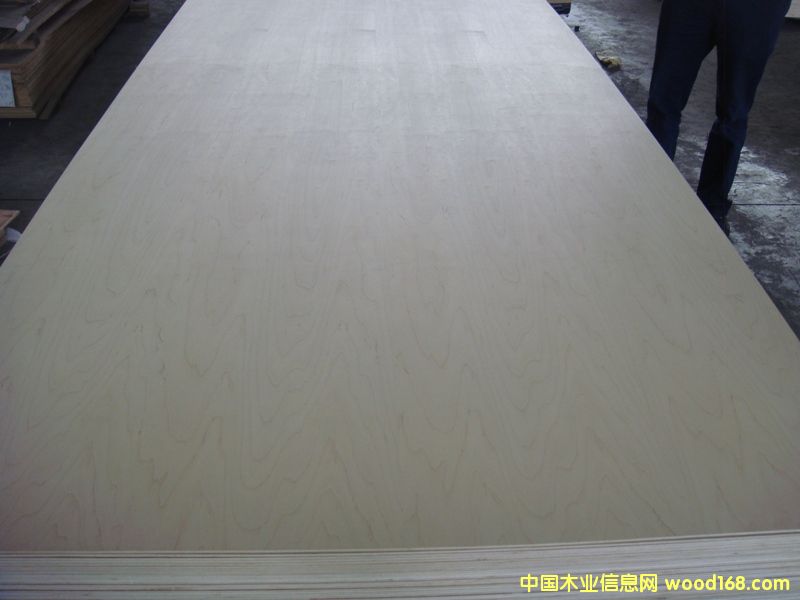 ��ľ��Ԕ����B