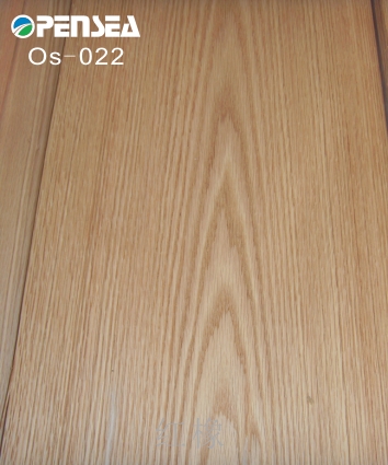 �t���Ԕ��(x��)��B