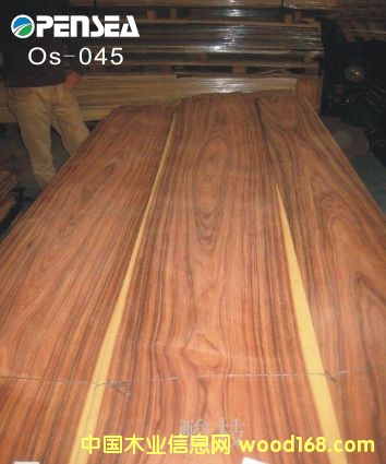 ��֦��Ԕ��(x��)��B